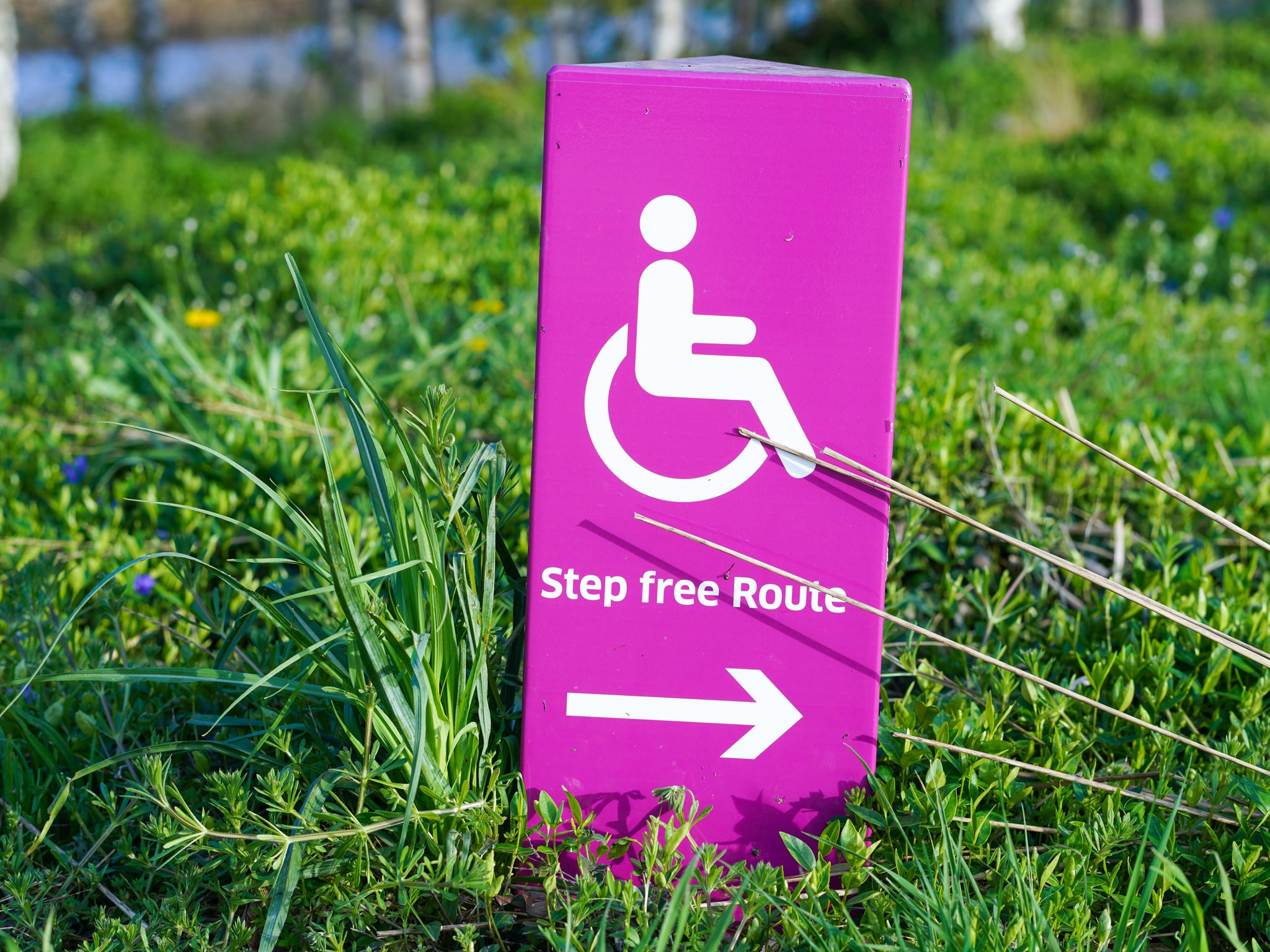 Así deben ser los itinerarios peatones accesibles con la nueva normativa de accesibilidad